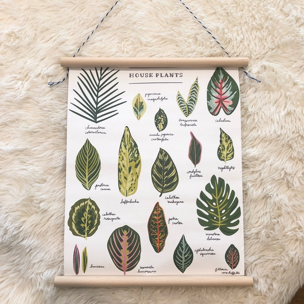 House Plant ID Chart Wall Art